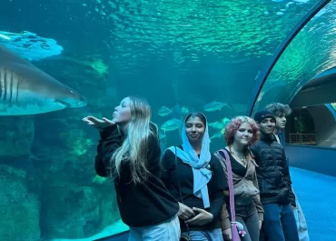 Our Visit to the Aquarium in the V&A Waterfront
